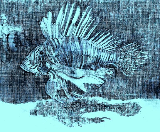 Lionfish