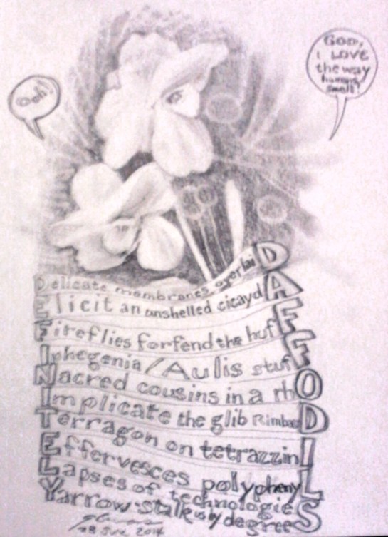 Definitely Daffodils