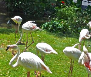 2012-06-26_11-39-47_983