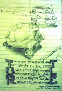 turtle 051215