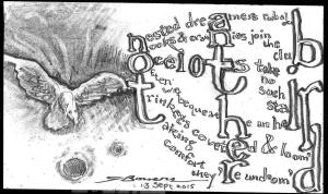 not another bird 091315