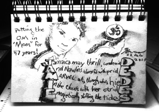 jamie-dedes-02222017