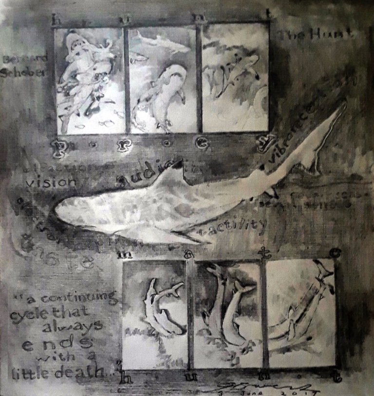 black tip hunt 06042017