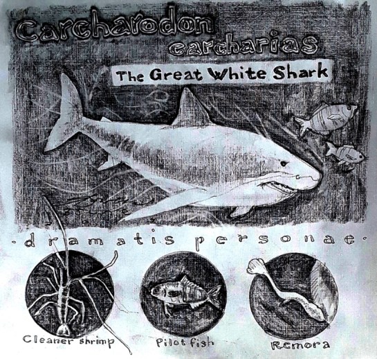 great white 06042017