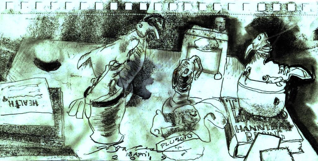 2019 0418 demented birds