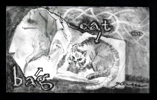 2019 0429 cat bag void