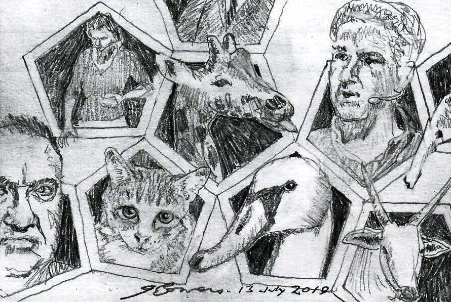 2019 0713 diverssimento