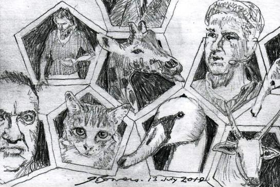 2019 0713 diverssimento