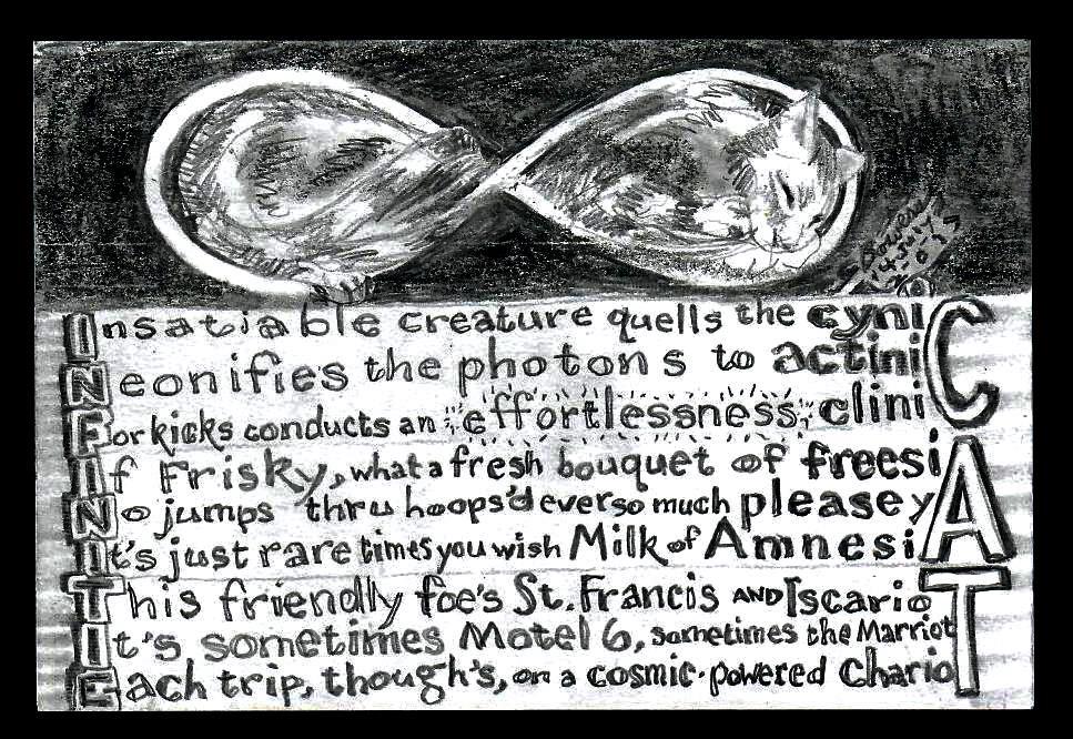 2019 0714 infinitie cat