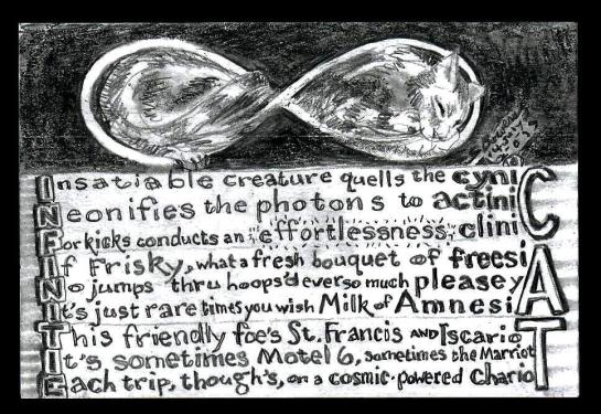 2019 0714 infinitie cat