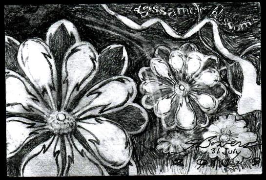 2019 0731 gossamer blossoms