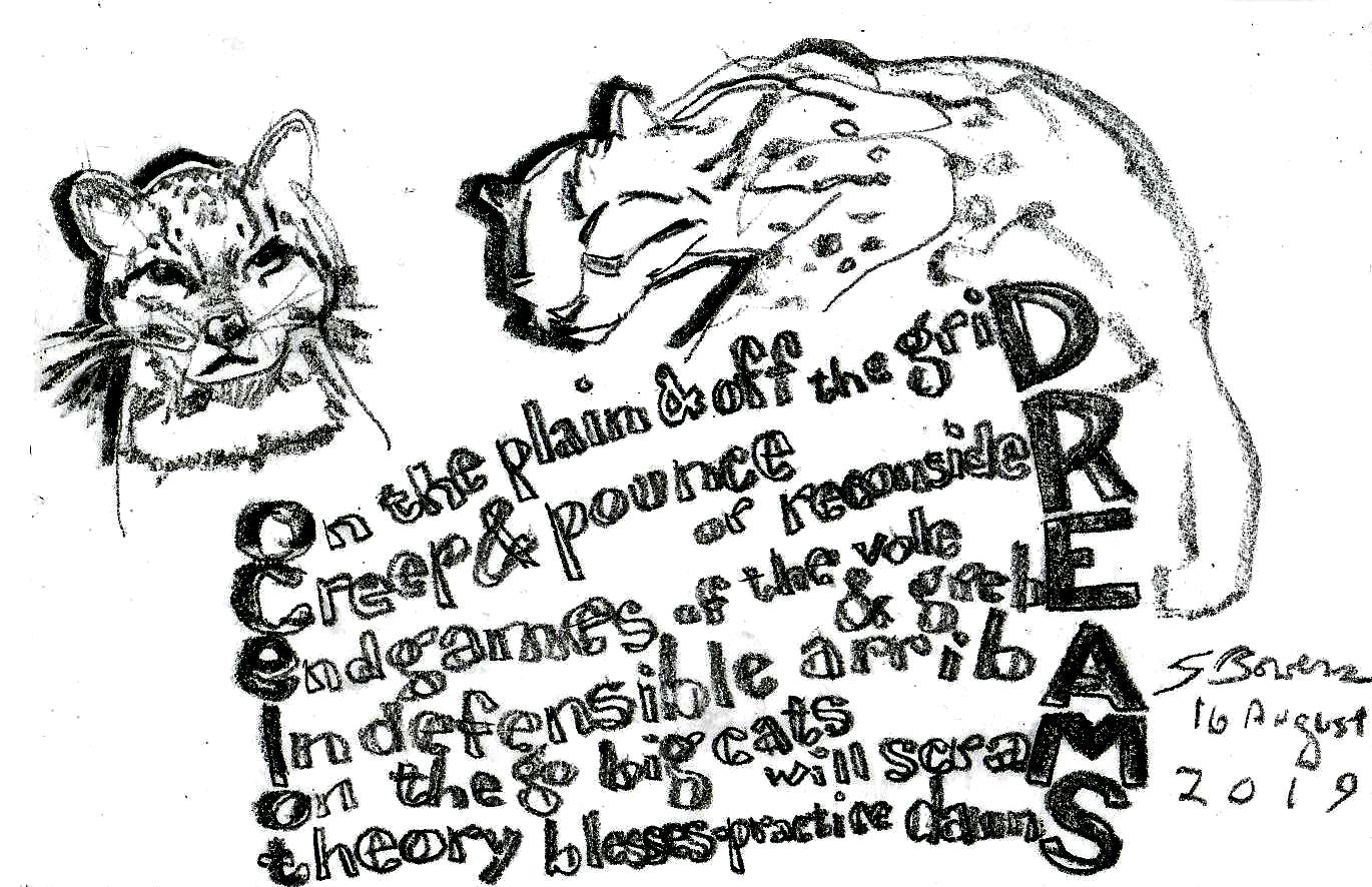 2019 0816 ocelot dreams