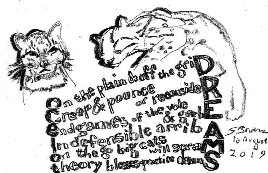 2019 0816 ocelot dreams