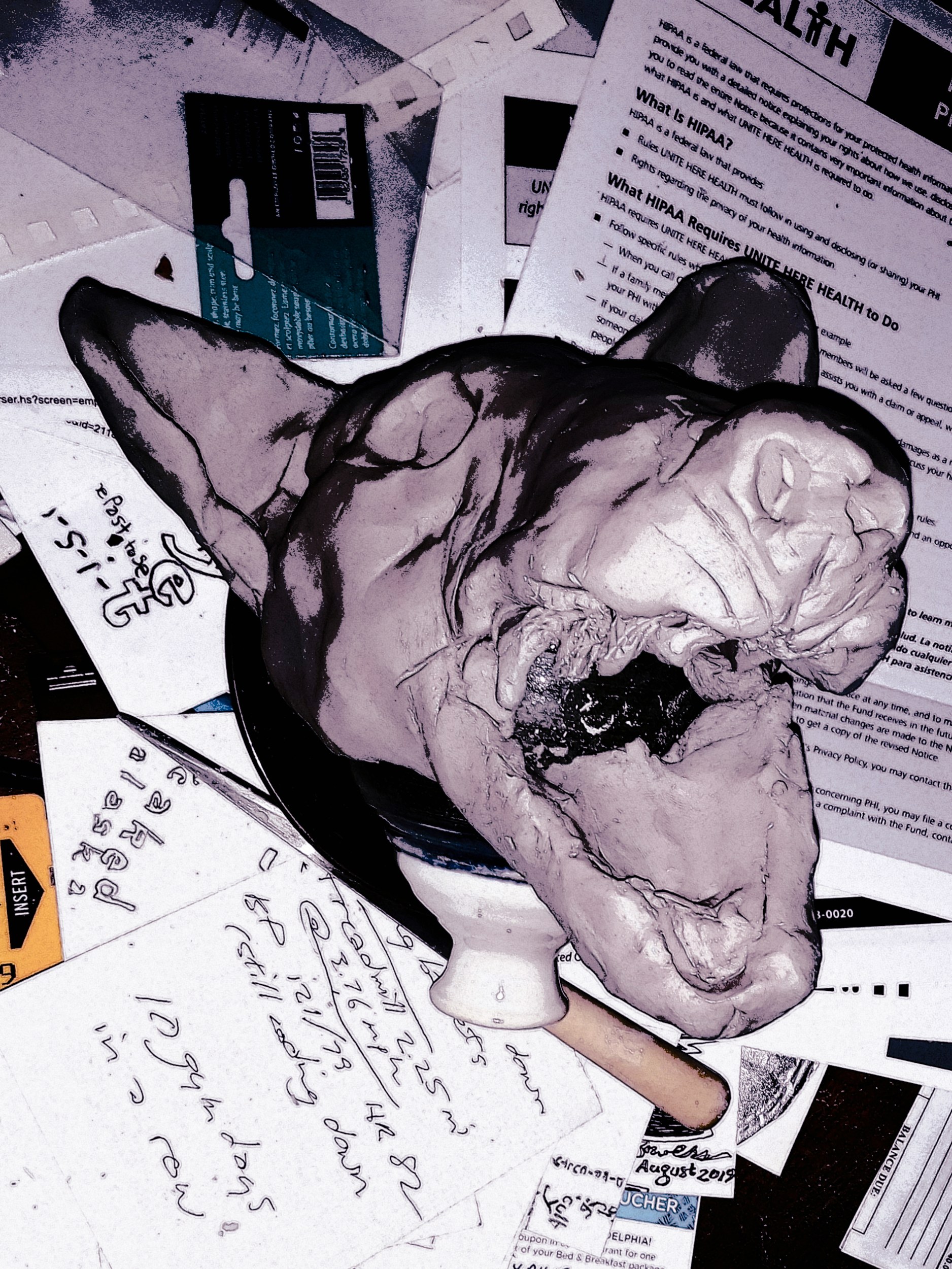 Lumii_20191215_060403447