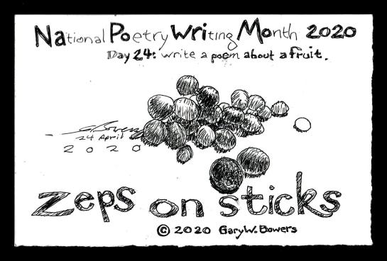 2020 0424 zeps on sticks