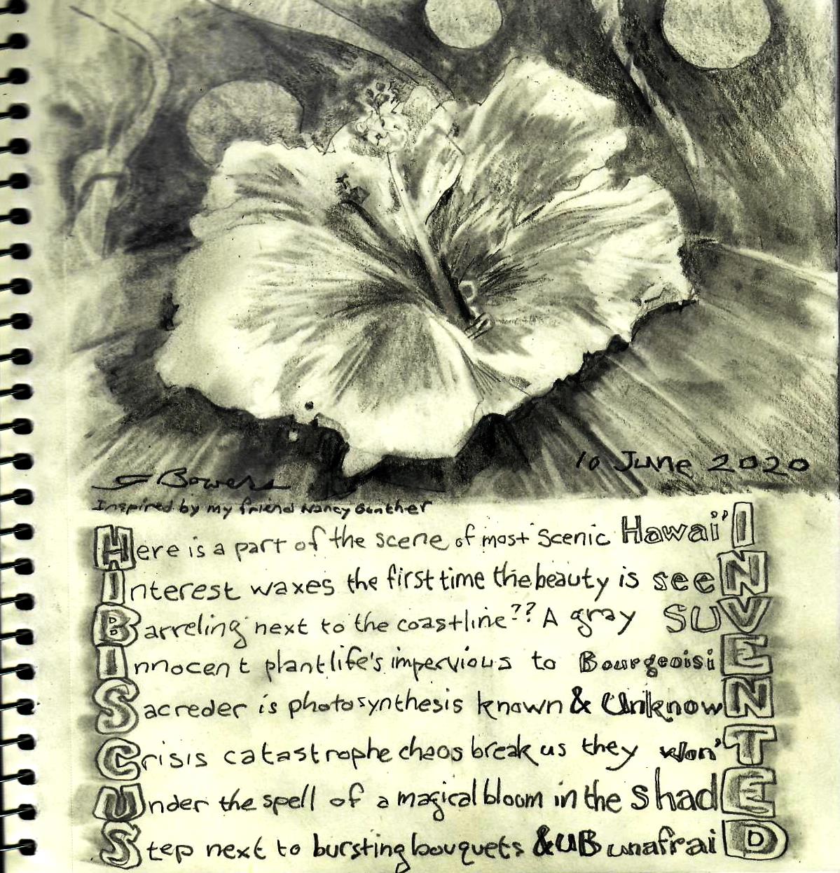 2020 0610 hibiscus invented