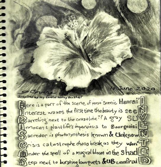 2020 0610 hibiscus invented