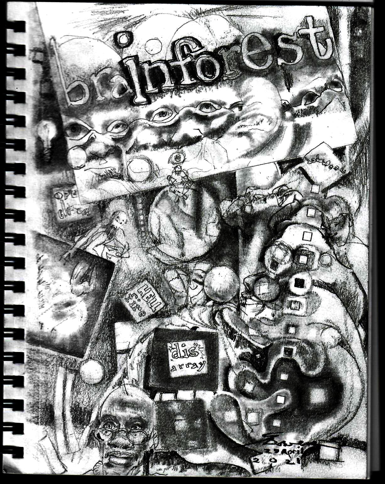 2021 0429 info in the brainforest