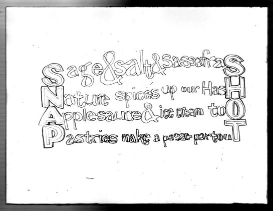 2022 0319 snap shot stage 2a