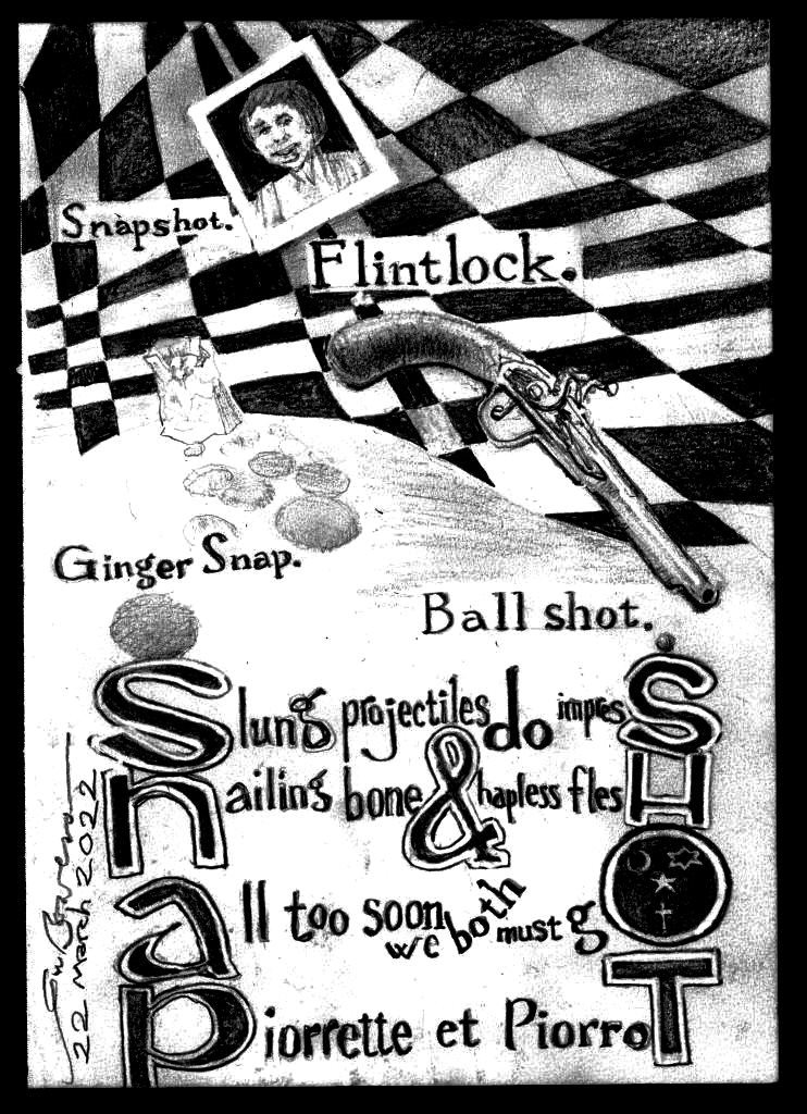 2022 0322 snap shot stage 40001